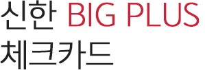 ���� BIG PLUS üũī��