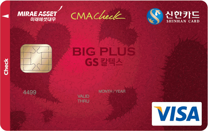 ���� BIG PLUS üũī�� �̹���